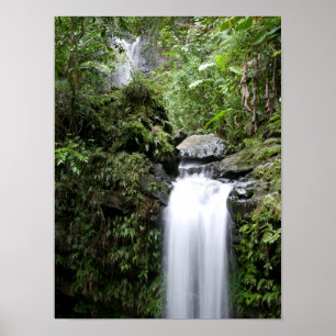 Poster Cataratas Juan Diego