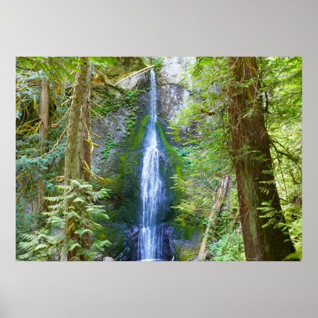Poster Cataratas Marymere I no Parque Nacional Olímpico (Frente)