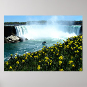 Pôster Cataratas Niágara