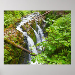 Poster Cataratas Sol Duc II no Parque Nacional Olímpico