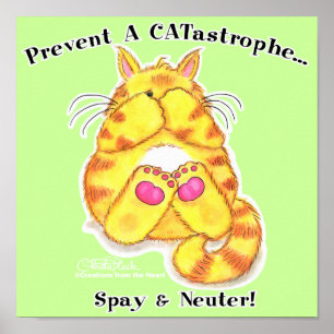 Pôster Catástrofe