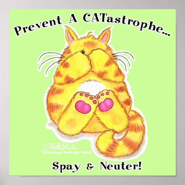 Pôster CATastrophe (Frente)