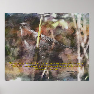 Poster Catbird com a citação de Vivek Wadwha