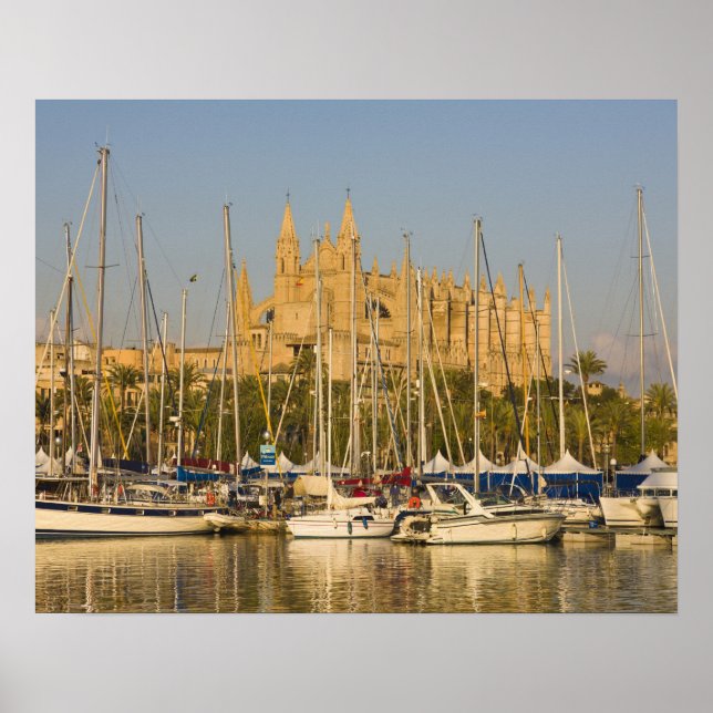Poster Catedral e marina, Palma, Mallorca, Espanha 2 (Frente)