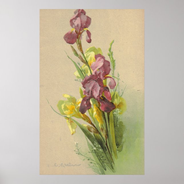 Poster Catherine Klein Vintage Litho Canvas de reprodução (Frente)