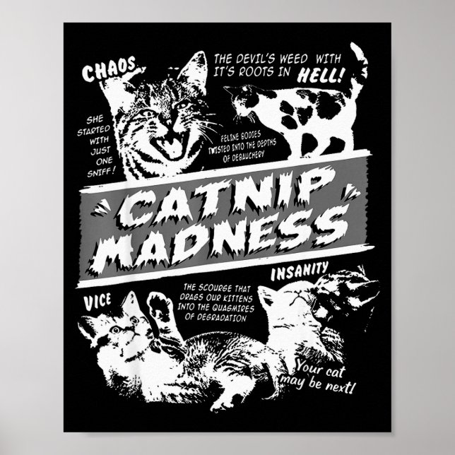 Poster Catnip Madness Cute Kitten Funny Cat Pet Humor  (Frente)