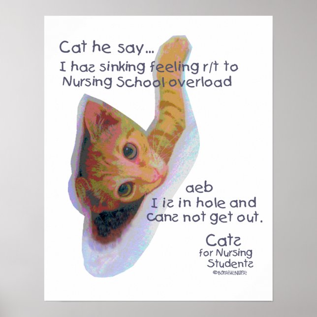 Poster Cats for Nursing Students - I has Sinking Feeling (Frente)