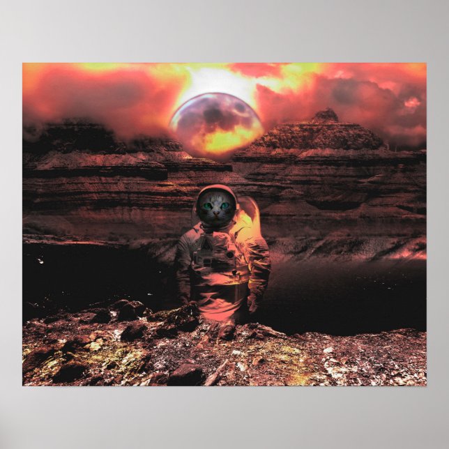 Pôster Catstronauta (Frente)