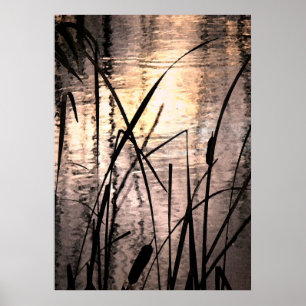 Poster Cattails no por do sol