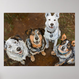 Poster Cattledogs Cattle Dogs and Heelers Brown Hued