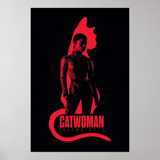 Poster CatWomen Selina Kyle Cat Silhouette (Frente)