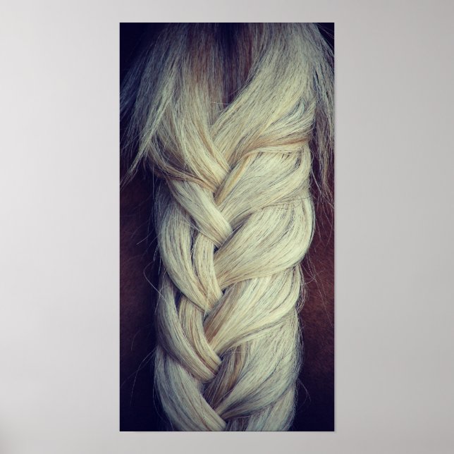 Pôster Cauda Braçada (Frente)