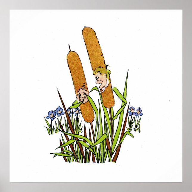 Poster Cauda de Gato (Frente)