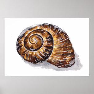 Poster Cauda Marrom