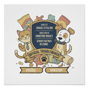 Pôster Causador Oficial de Problemas   Parceiros Divertid