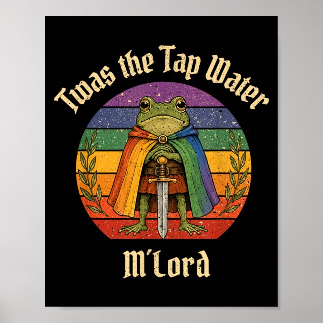 Poster Cavaleiro de Rã Engraçado Arco-íris Foi a Senhora  (Frente)