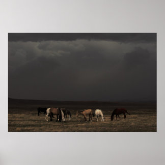 Pôster Cavaleiros Da Tempestade