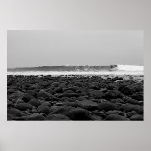 POSTER CAVALETES, PRAIA DE ESTADO DO SAN ONOFRE, CA, EUA