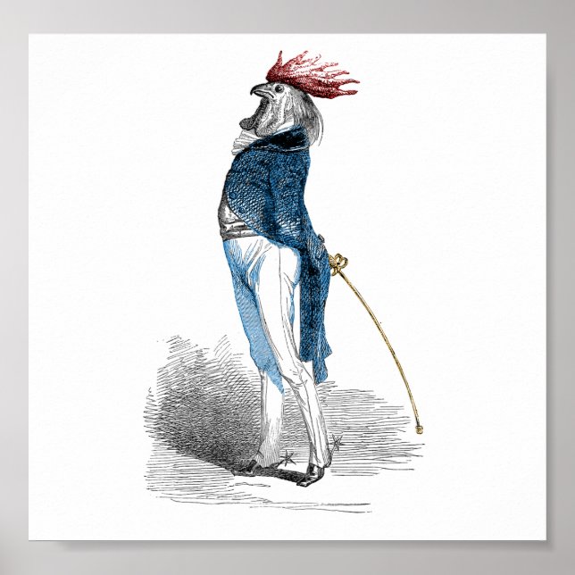 Pôster Cavalheiro de galo (Frente)