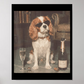 Poster Cavalier King Charles Bebendo Champanhe Engraçado