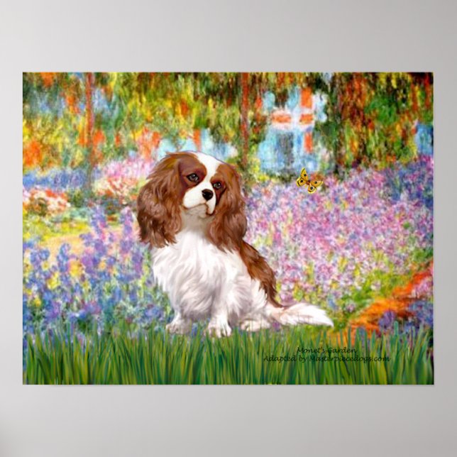 Poster Cavalier King Charles (Blenheim) - Jardim (Frente)