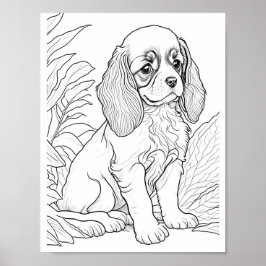 Poster Cavalier King Charles Dog Colour