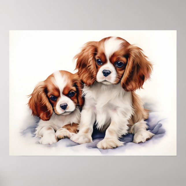 Poster Cavalier King Charles Puppies (Frente)