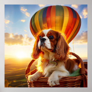 Poster Cavalier King Charles Spaniel Andando de Balão de 