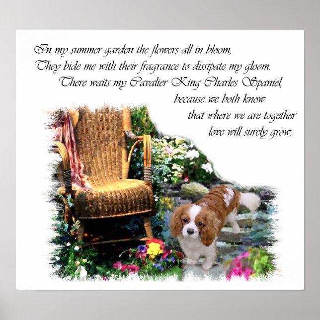 Pôster Cavalier King Charles Spaniel Art (Frente)