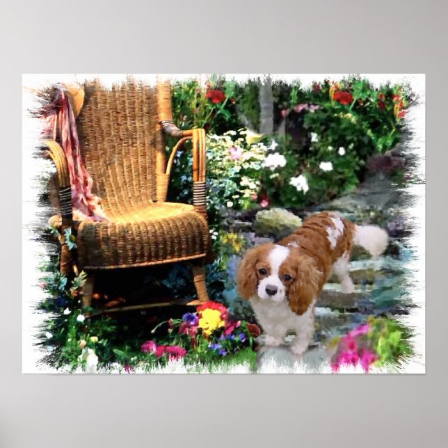 Pôster Cavalier King Charles Spaniel Art (Frente)