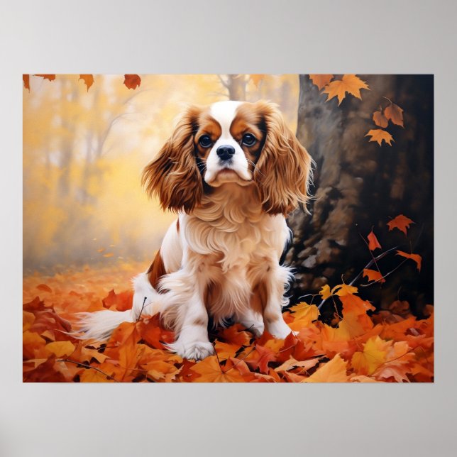 Poster Cavalier King Charles Spaniel Blenheim (Frente)