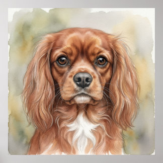 Poster Cavalier King Charles Spaniel Close-Up Aquarela