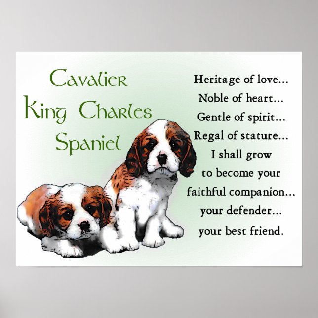 Poster Cavalier King Charles Spaniel Gifts (Frente)