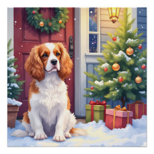 Pôster Cavalier King Charles Spaniel Natal Nevado