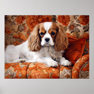 Poster Cavalier King Charles Spaniel no Sofa