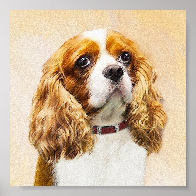 Pôster Cavalier King Charles Spaniel Original (Frente)