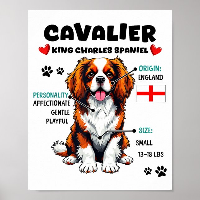 Poster Cavalier King Charles Spaniel Owner Funny Dog Love (Frente)