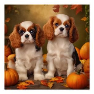 Pôster Cavalier King Charles Spaniel Puppy Autumn Pumpkin