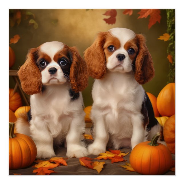Pôster Cavalier King Charles Spaniel Puppy Autumn Pumpkin (Frente)
