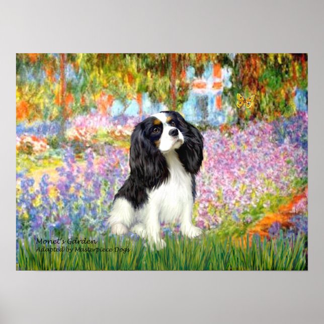 Poster Cavalier King Charles (tricolor) - Jardim (Frente)