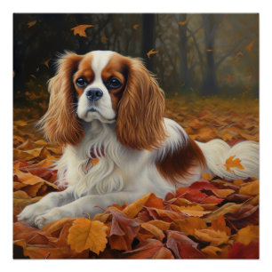 Pôster Cavalier King no outono deixa cair inspiração