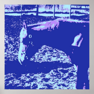 Pôster Cavalo