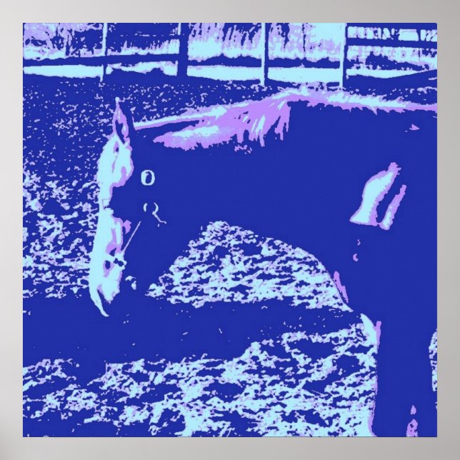 Pôster Cavalo (Frente)