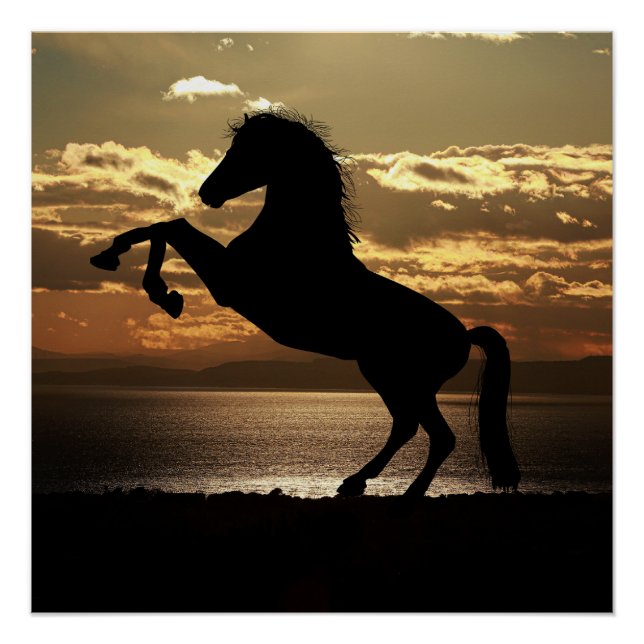 Pôster cavalo (Frente)