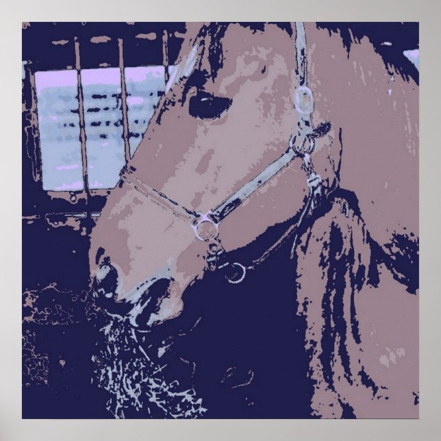 Poster Cavalo (Frente)