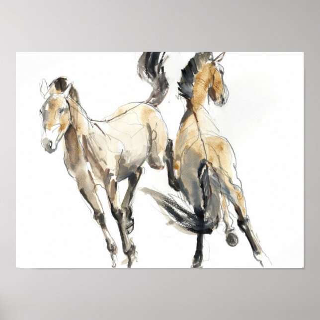 Pôster Cavalo 2013 (Frente)