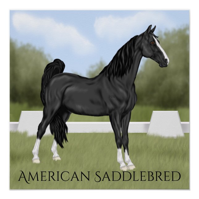Pôster Cavalo American Saddle-bred (Frente)