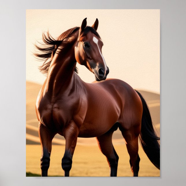 Poster cavalo americano (Frente)
