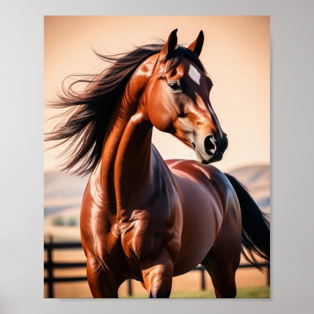 Poster cavalo americano (Frente)