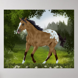 Pôster Cavalo Appaloosa Buckskin